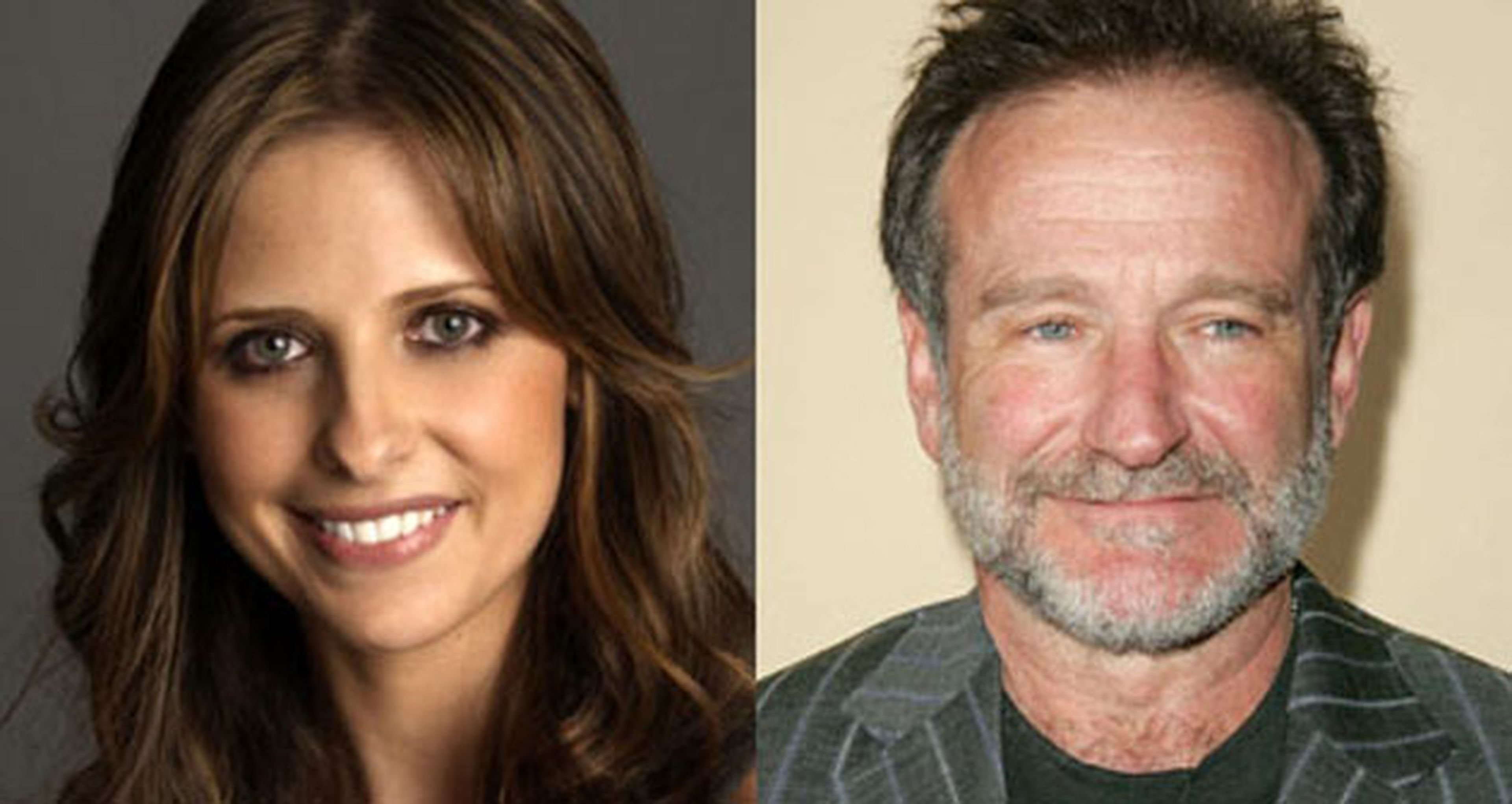 Crazy Ones, la nueva serie de Robin Williams y Sarah Michelle Gellar