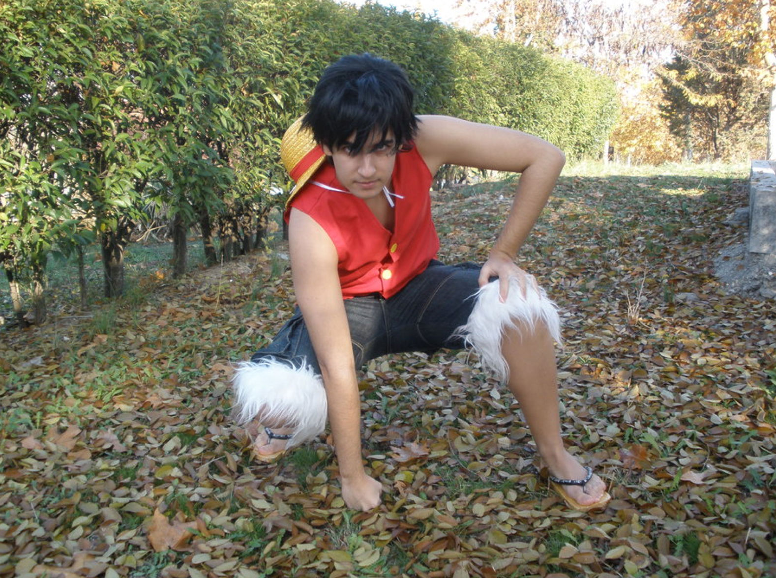 Top chicos One Piece