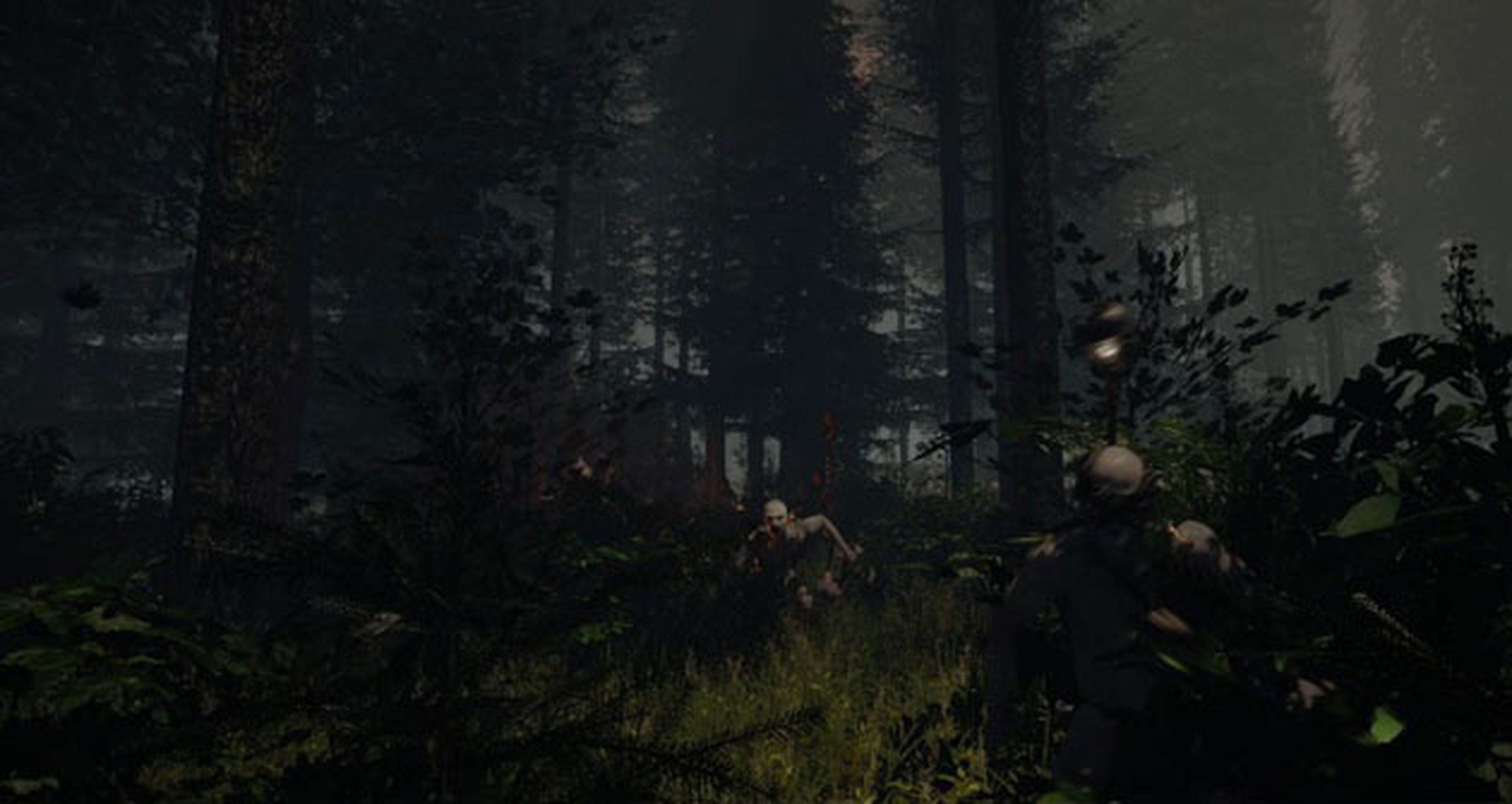 Nuevas imágenes para The Forest