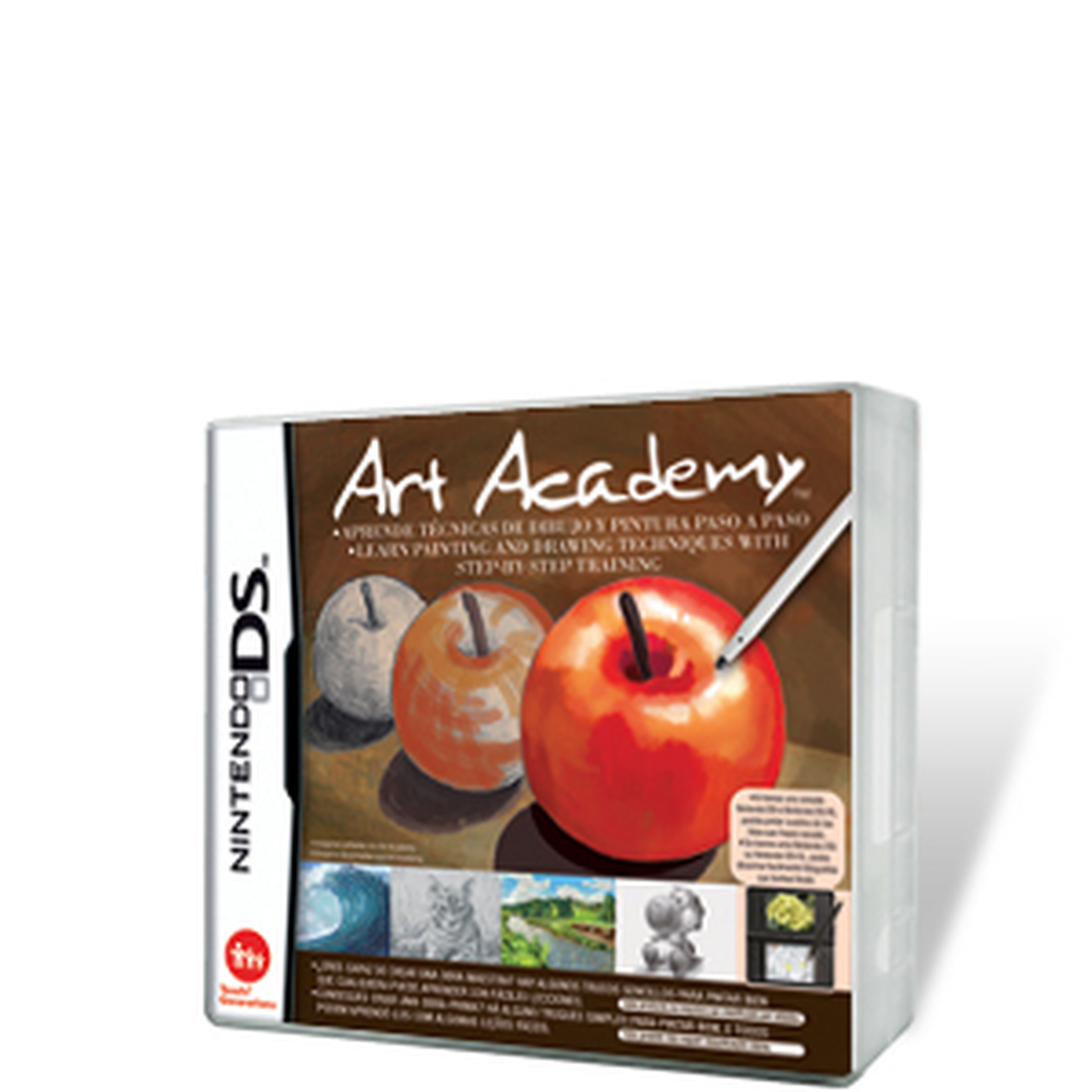 Art Academy para NDS