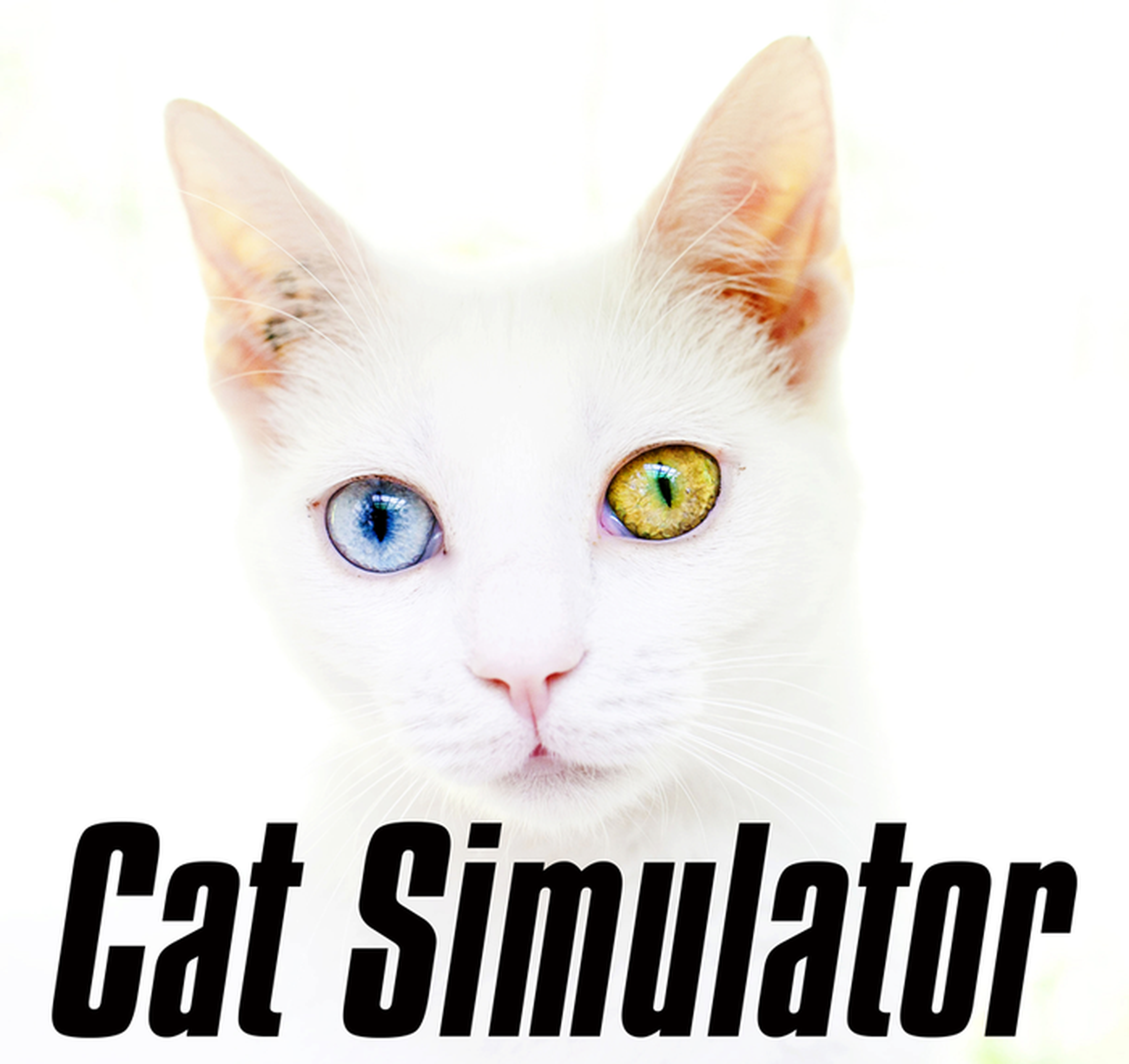 Cat Simulator, otro simulador animal