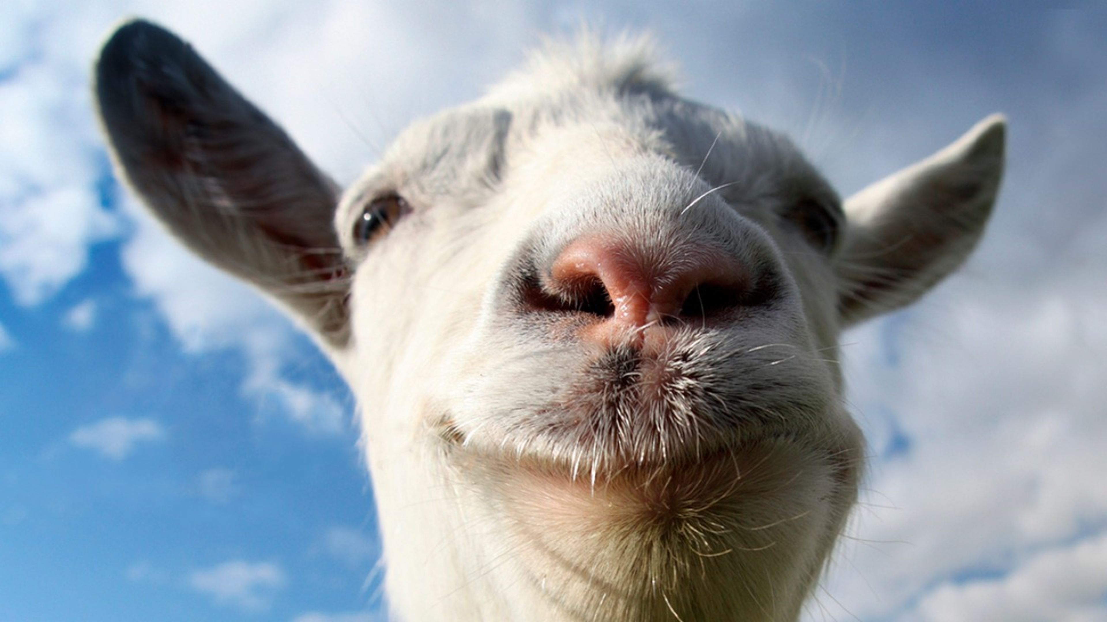 La primera actualización de Goat Simulator incluirá parkour