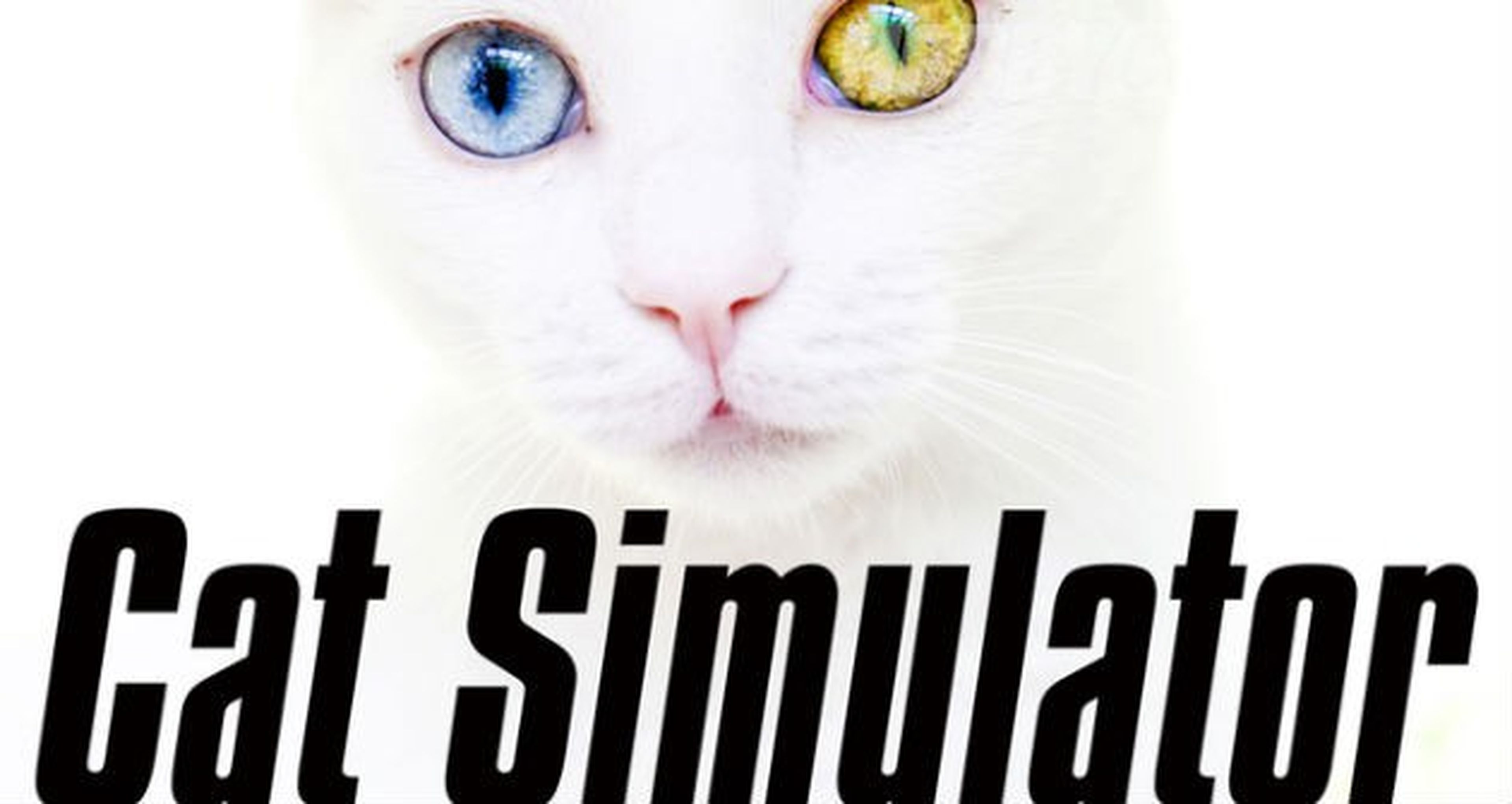 Cat Simulator fracasa en Kickstarter