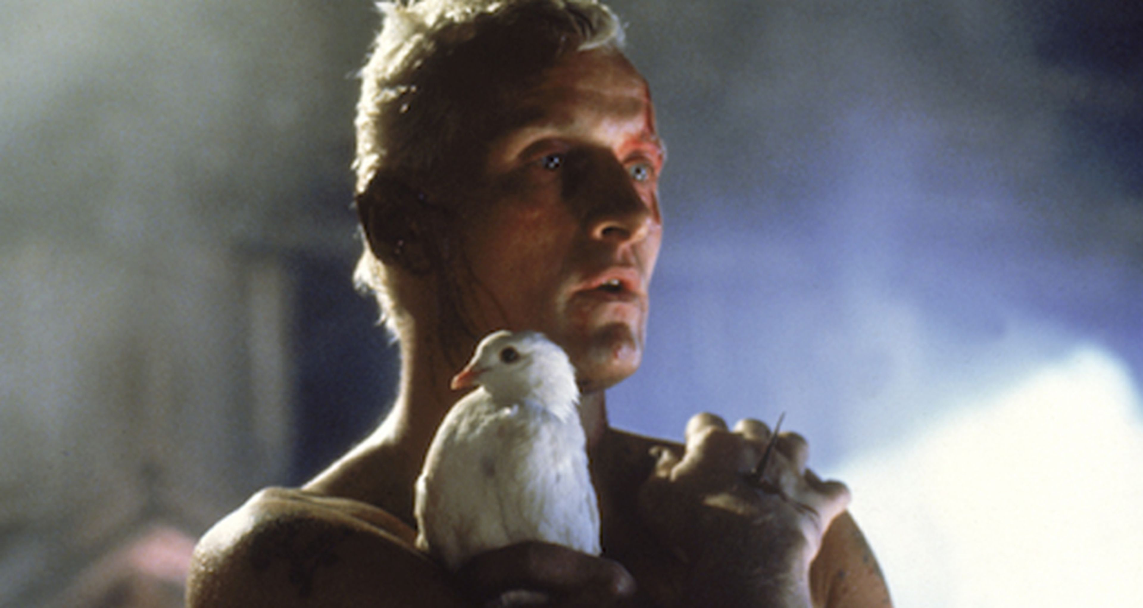 Harrison Ford alaba el guión de Blade Runner 2 y Ridley Scott se lo piensa