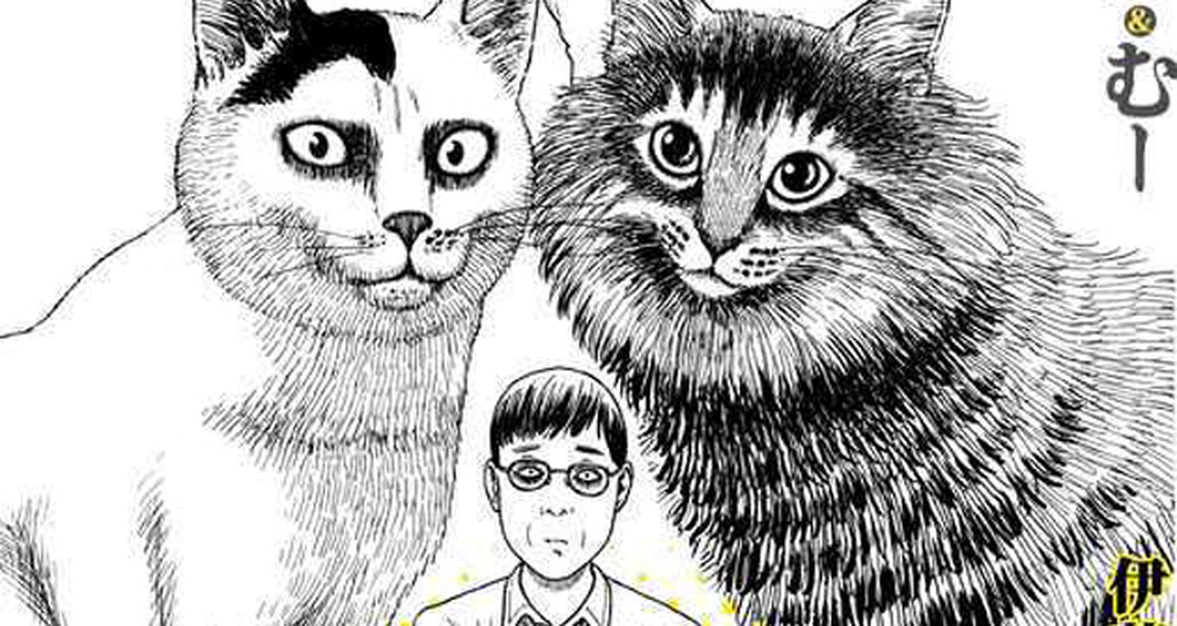 El diario gatuno de Junji Ito se publicará en verano