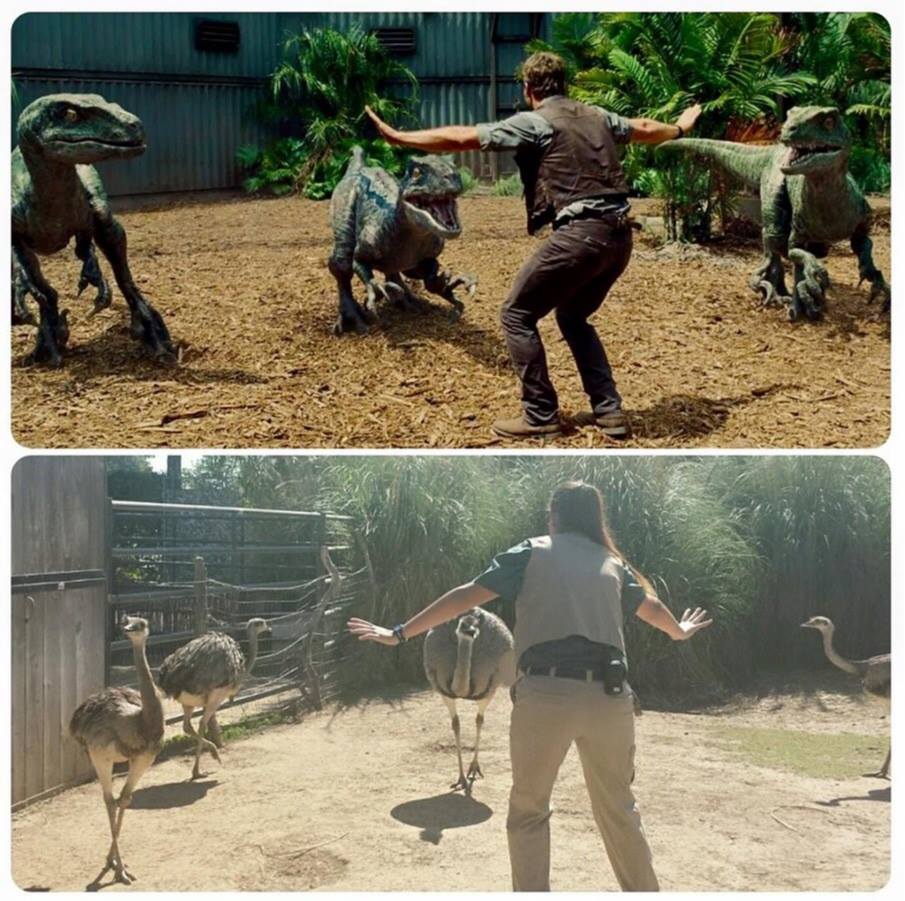 Jurassic World Los Mejores Memes Hobbyconsolas Entretenimiento 