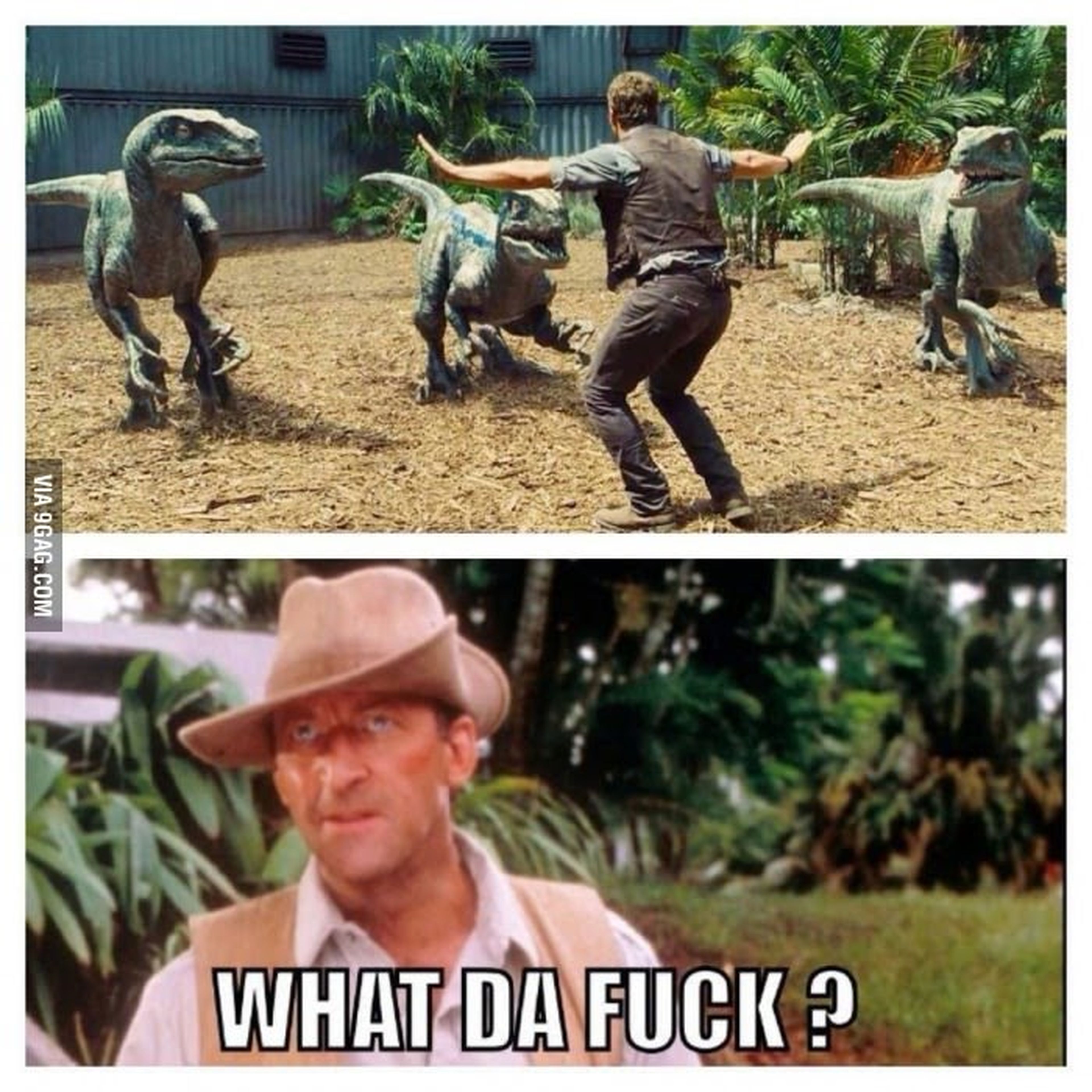 Jurassic World: los mejores memes