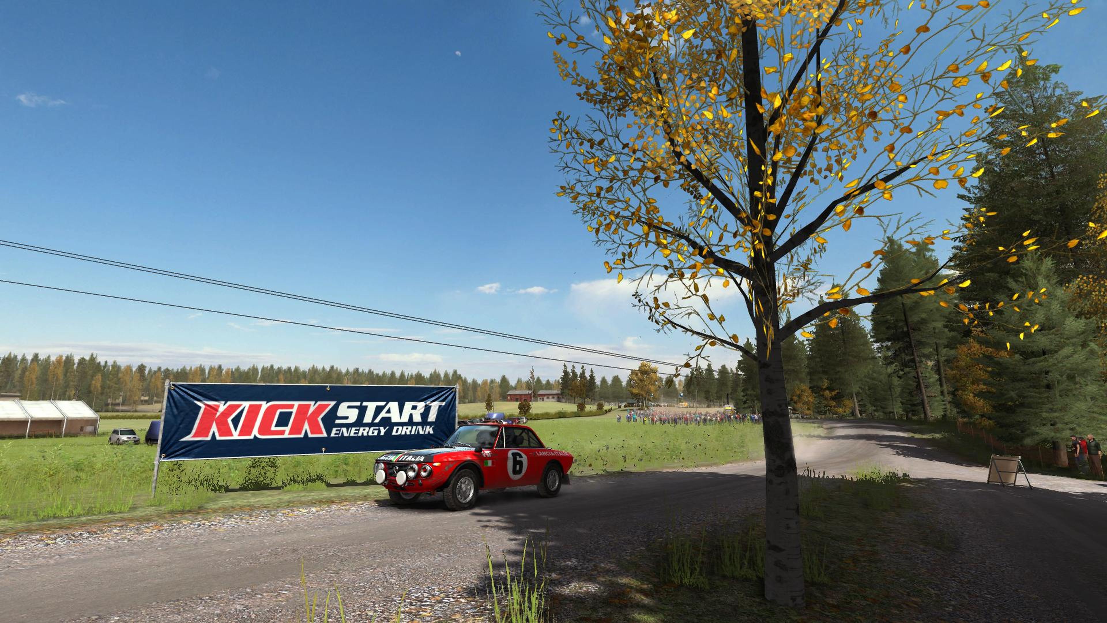 Análisis de Dirt Rally para PC