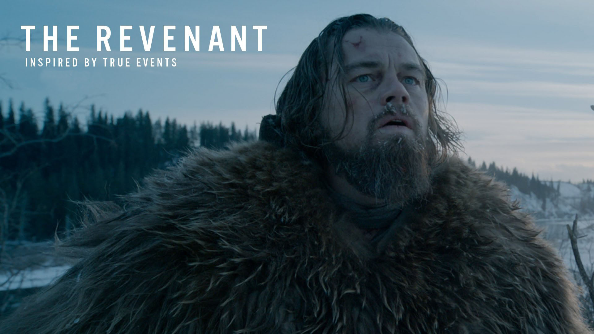 El Renacido The Revenant Crítica Del Film Que Obtiene 3 Oscar Mejor Director Actor 