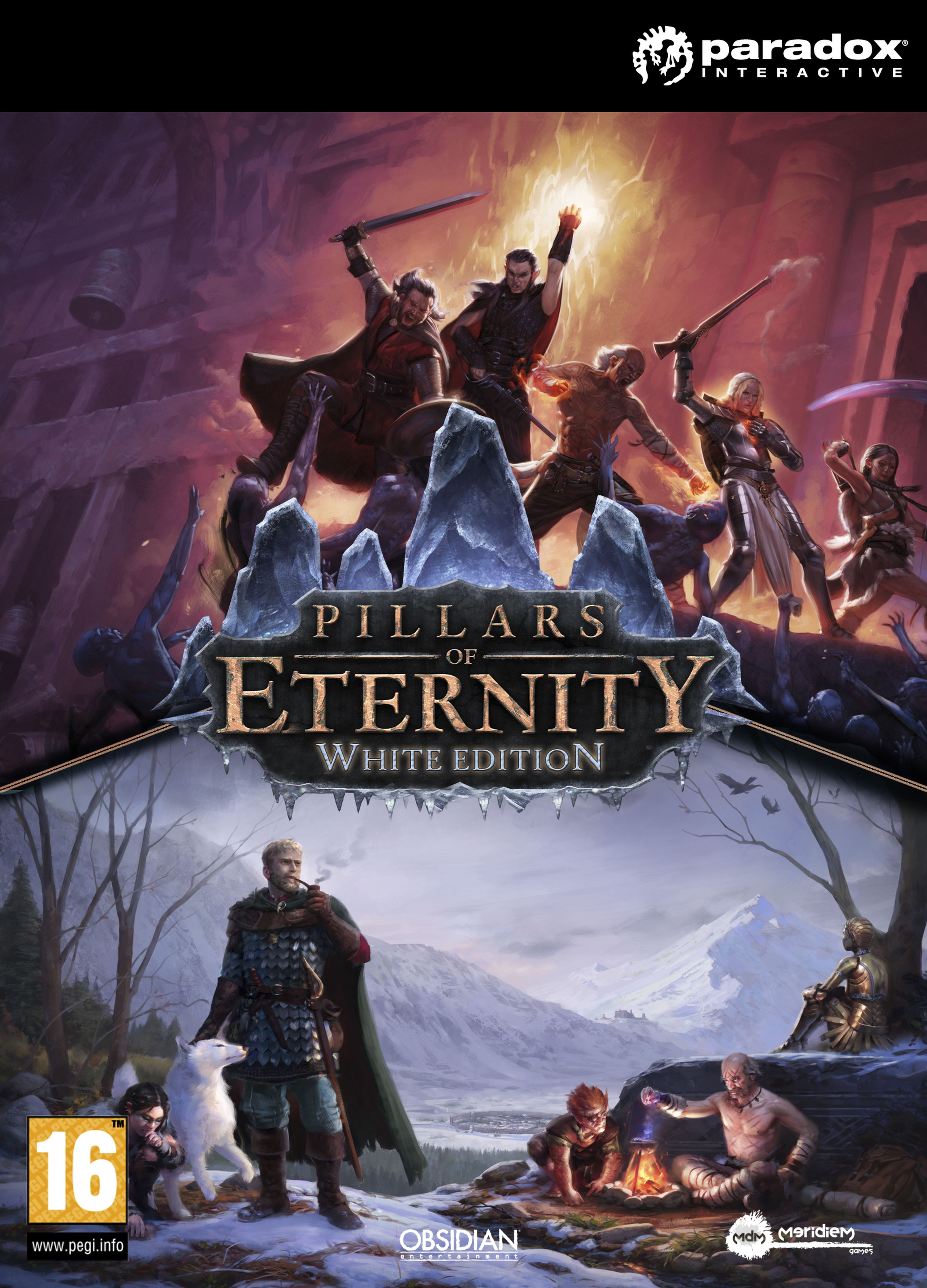 Pillars of Eternity White Edition - Fecha de lanzamiento, precio y contenidos