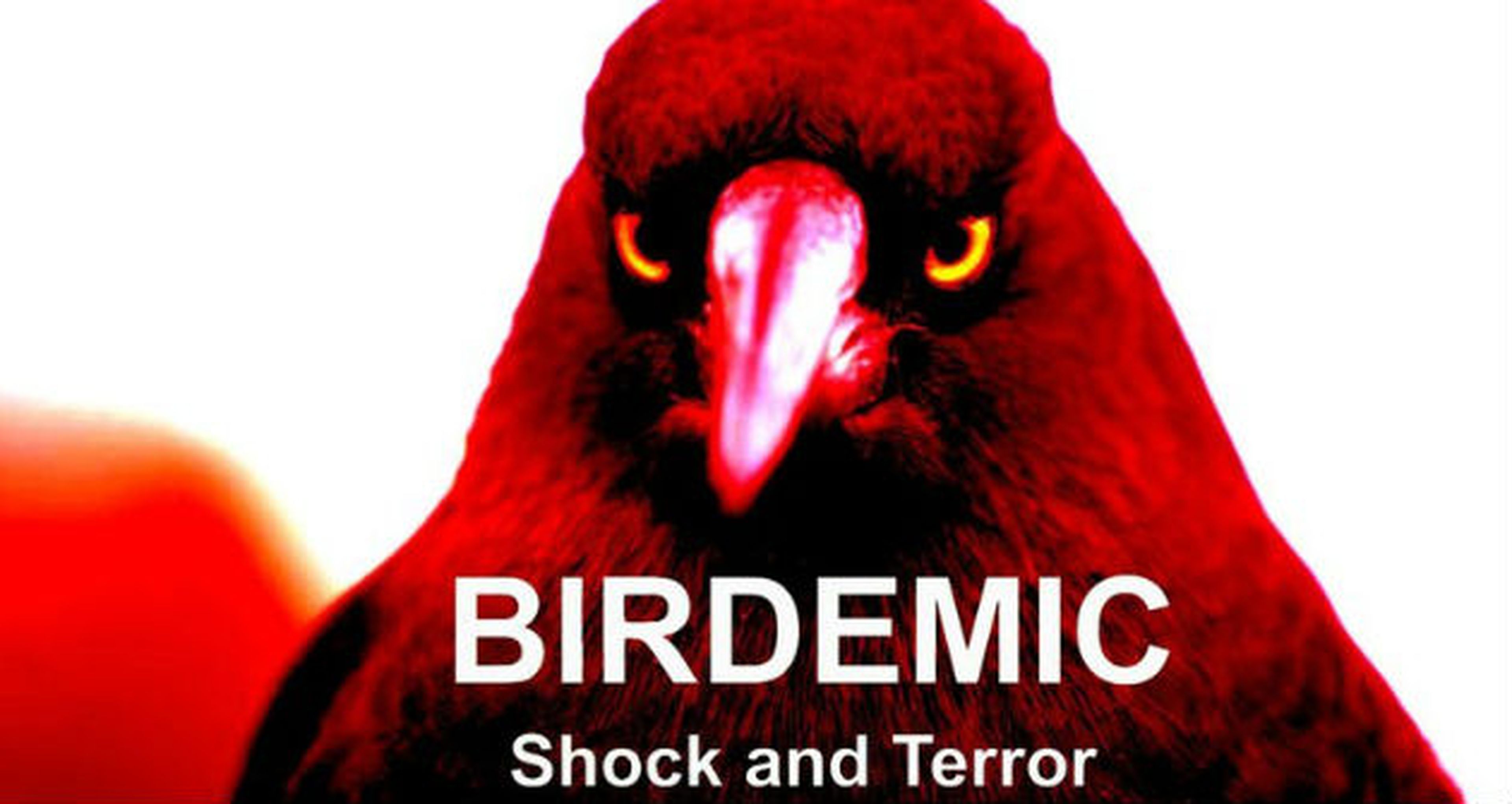 Crítica de Birdemic: Shock and Terror - ¡Putea al redactor!