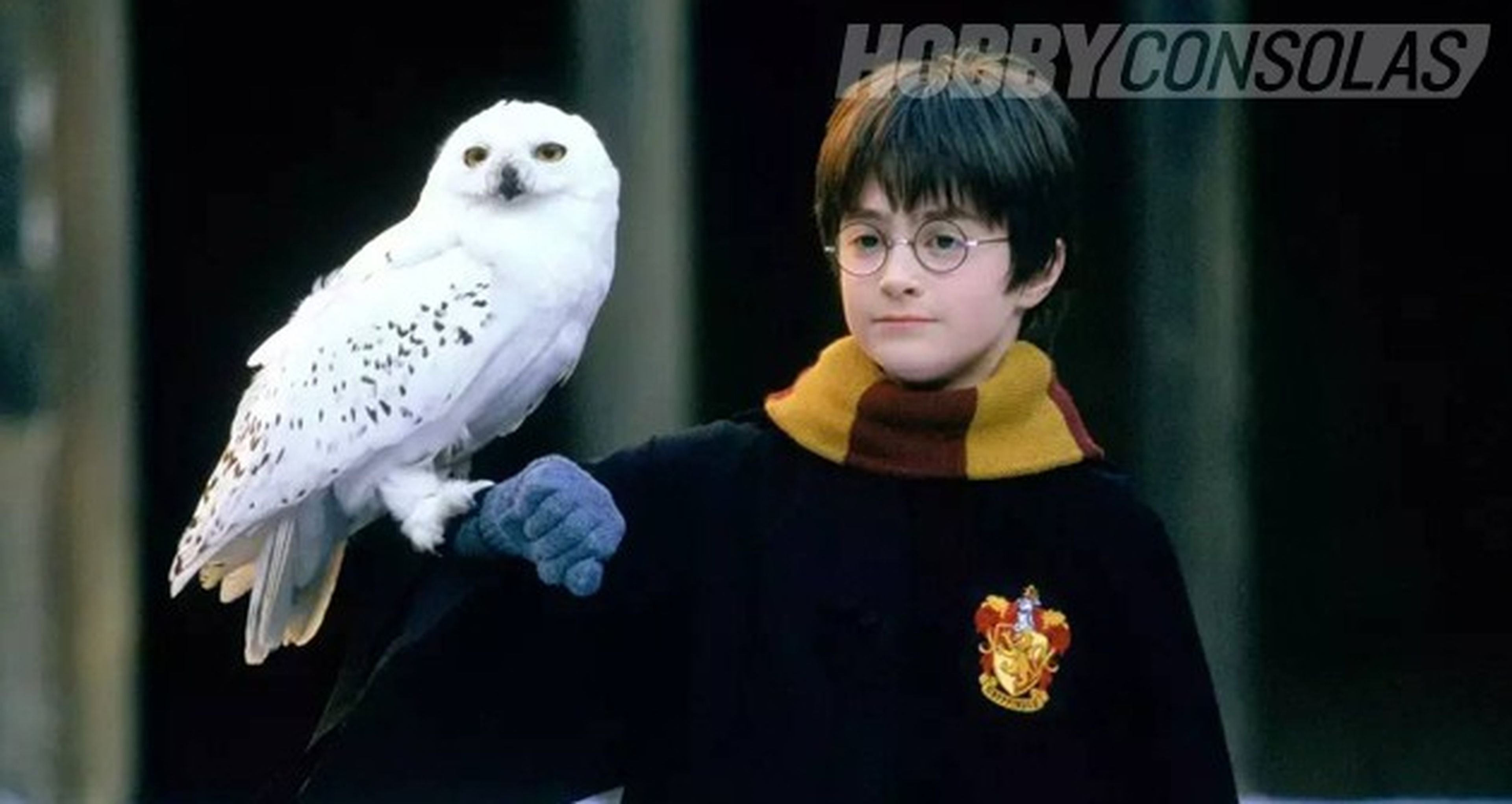 Retiran lechuzas vivas de obra teatral de Harry Potter, Cine, Entretenimiento