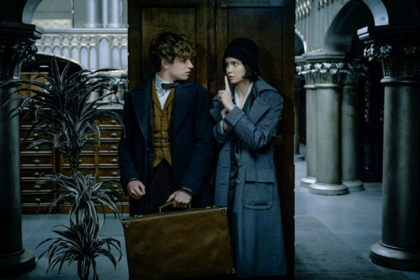 Animales fantásticos y dónde encontrarlos Eddie Redmayne Newt Scamander