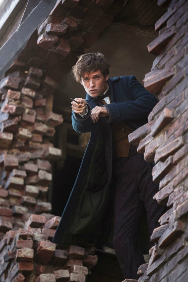 Eddie Redmayne Newt Scamander Animales fantásticos y dónde encontrarlos