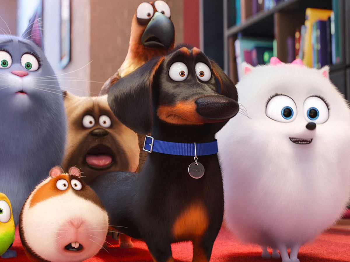 Mascotas - Crítica de la película de animación de los creadores de Gru y  Los minions