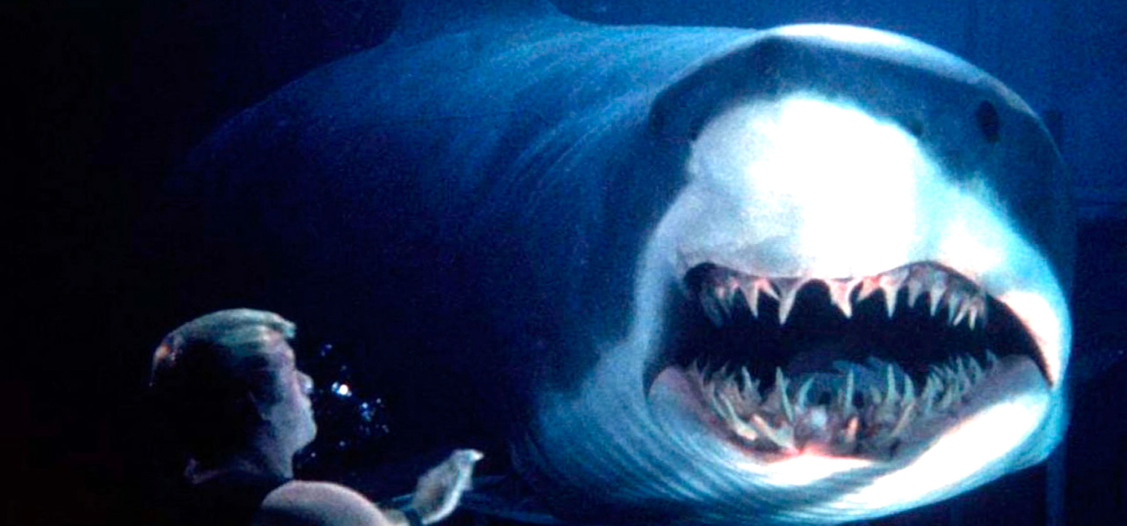 Ужасы про акул новинки. Ужасы глубокое синее море. Глубокое синее море акулы.