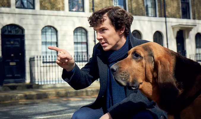 Sherlock temporada 4 Benedict Cumberbatch, Holmes, perro