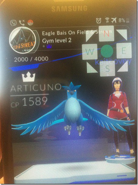 Articuno - Pokémon GO Articuno - Pokémon GO