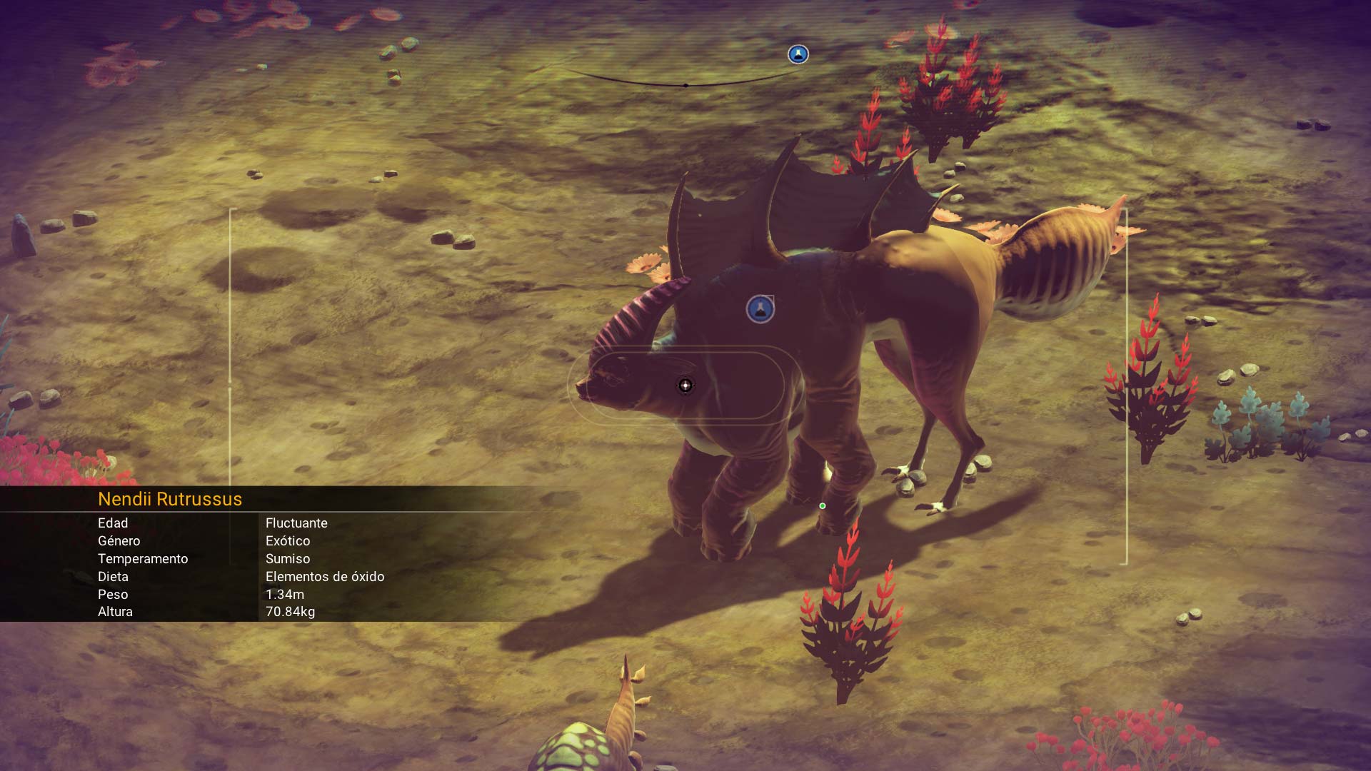 No Man's Sky analisis bicho No Man's Sky analisis bicho