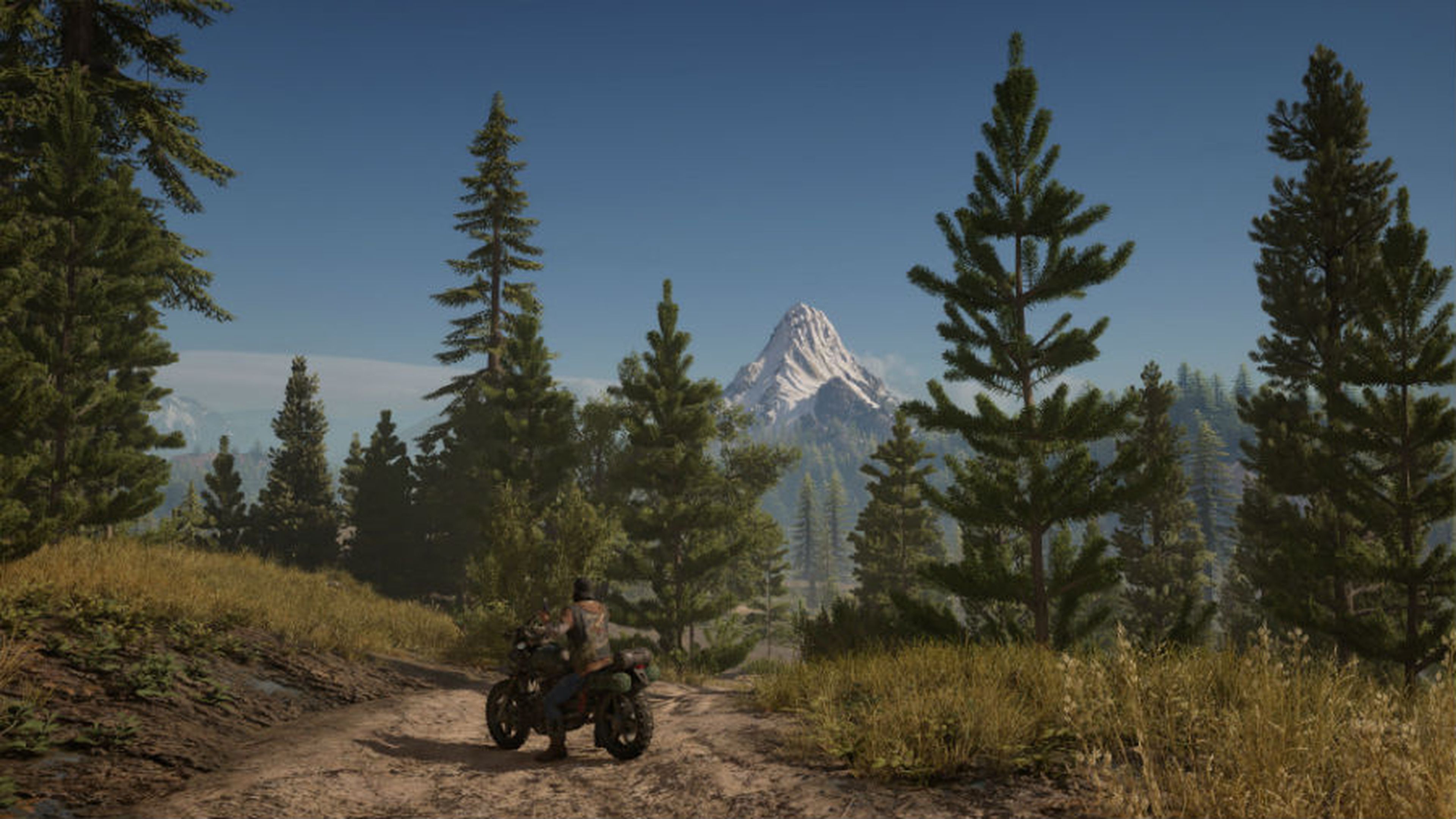 Days Gone PS4 Pro