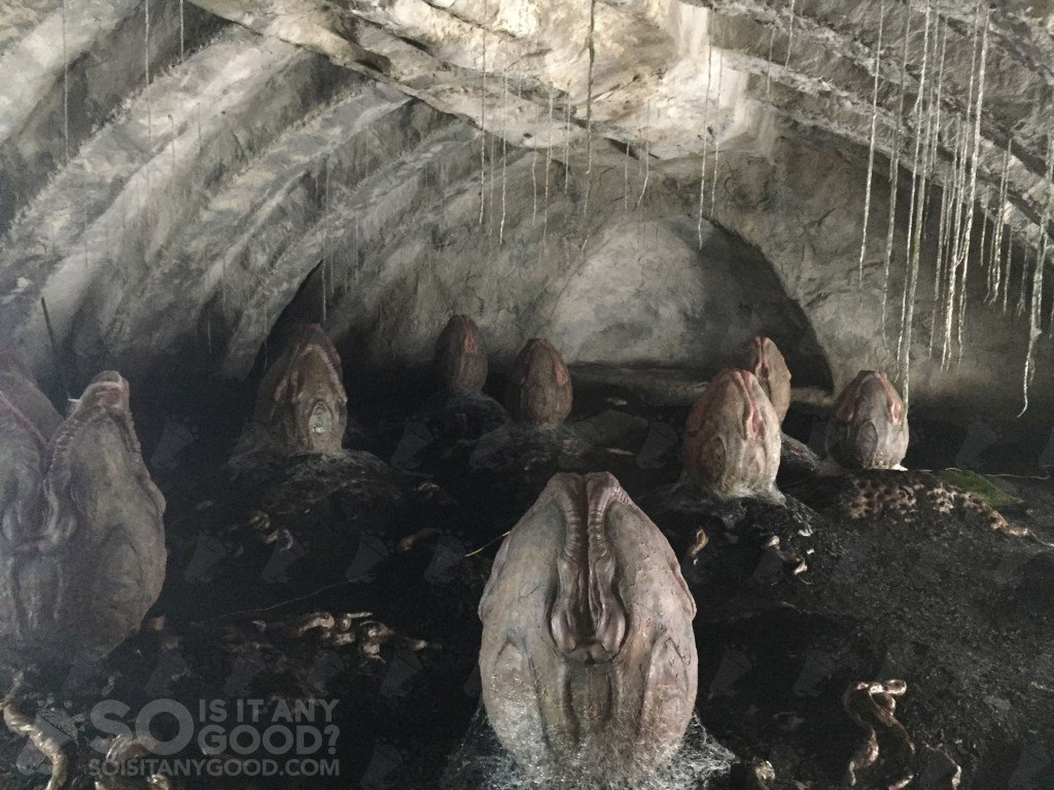 Alien: Covenant - Primeras imágenes de los Xenomorfos en todas sus fases