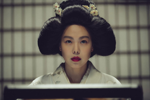 The Handmaiden The Handmaiden