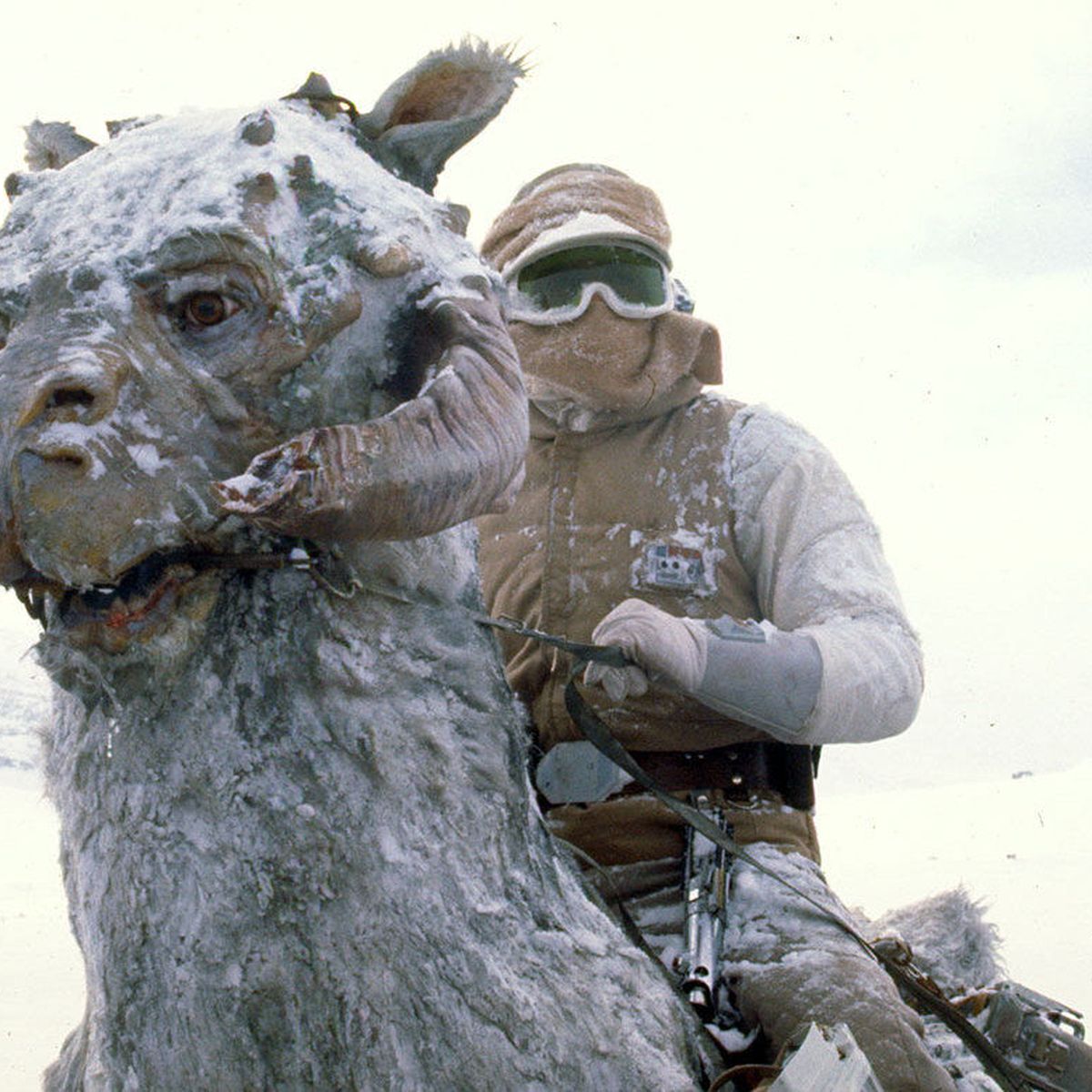 Star Wars: Encontramos el mejor disfraz de Halloween a lomos de un Tauntaun