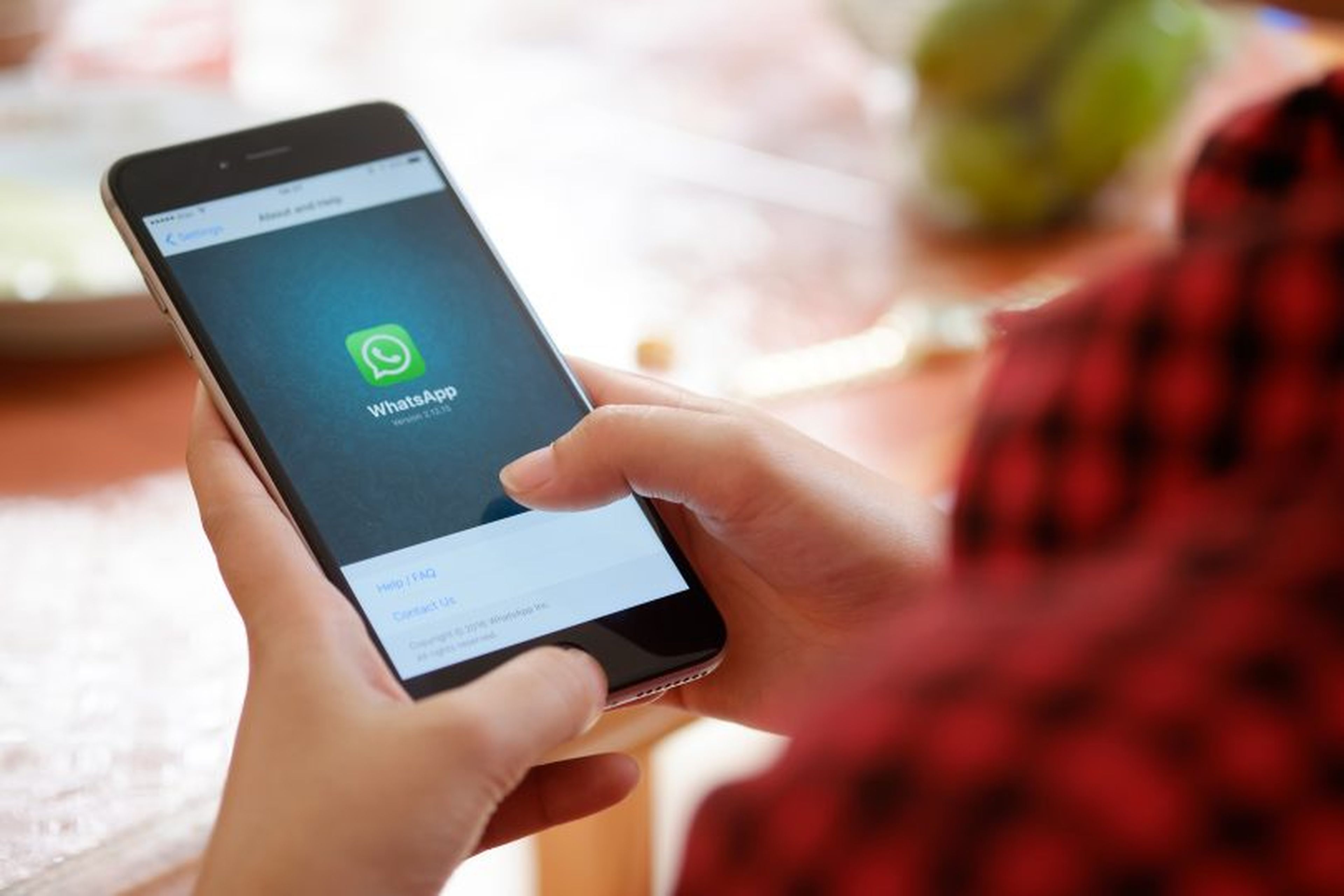 WhatsApp Truco Android iOS