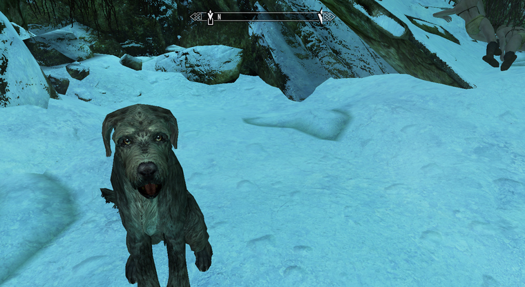 4. Una nueva mascota perro Skyrim