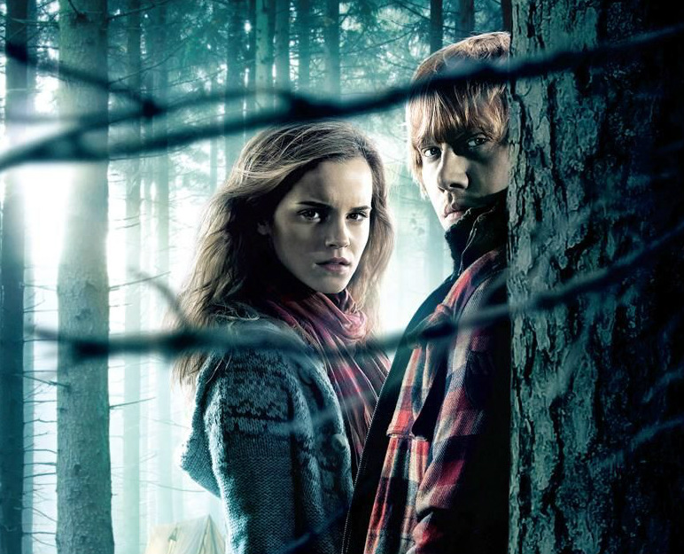 Harry Potter y las Reliquias de la Muerte Parte I Harry Potter y las Reliquias de la Muerte Parte I