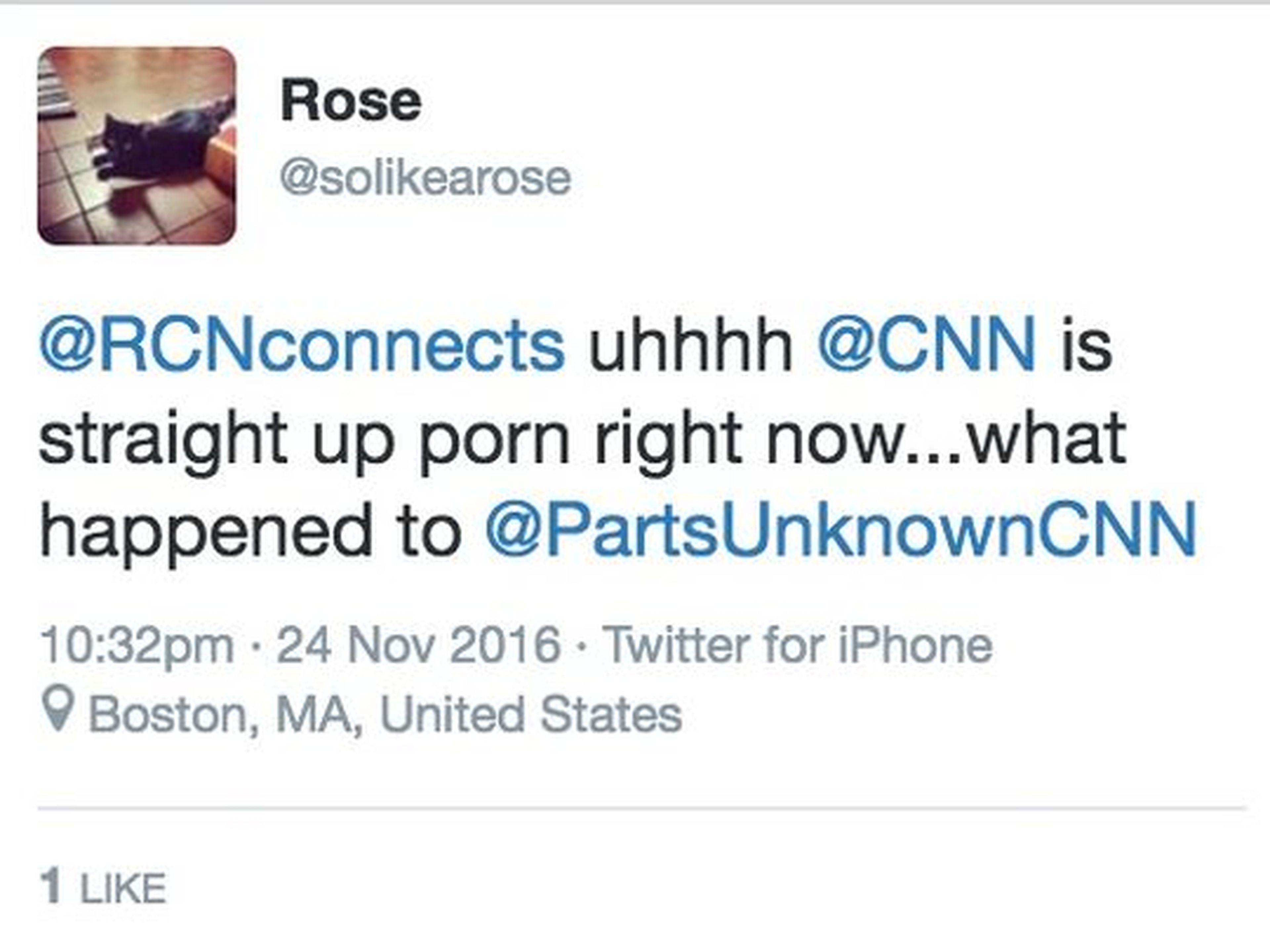 Porno CNN