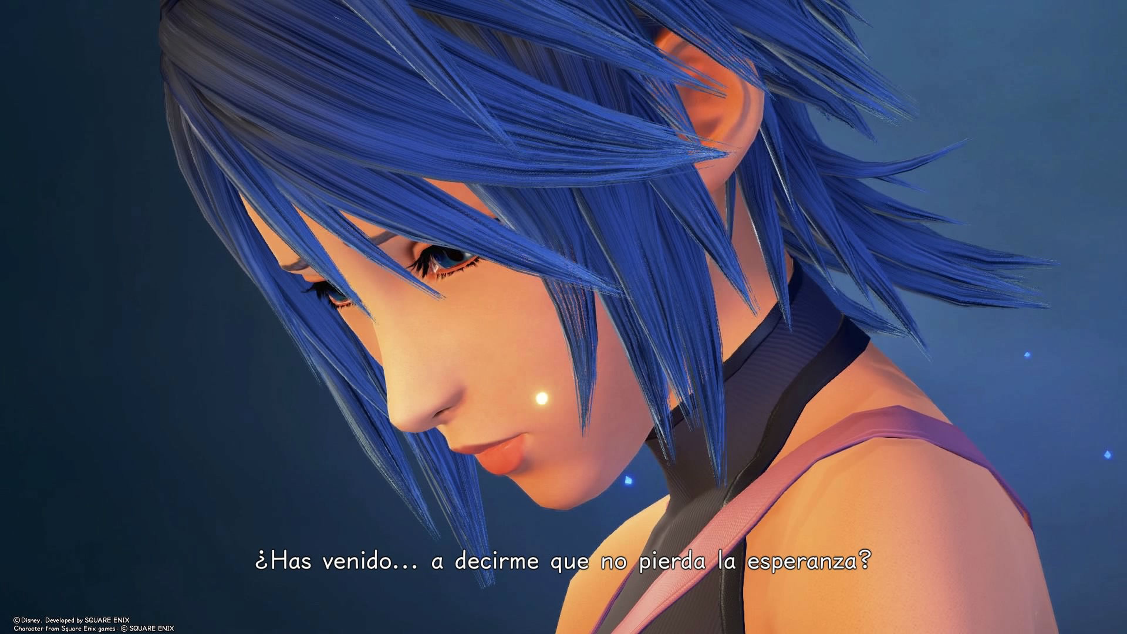 Kingdom Hearts 0.2 BIrth By Sleep A Fragmentary Passage