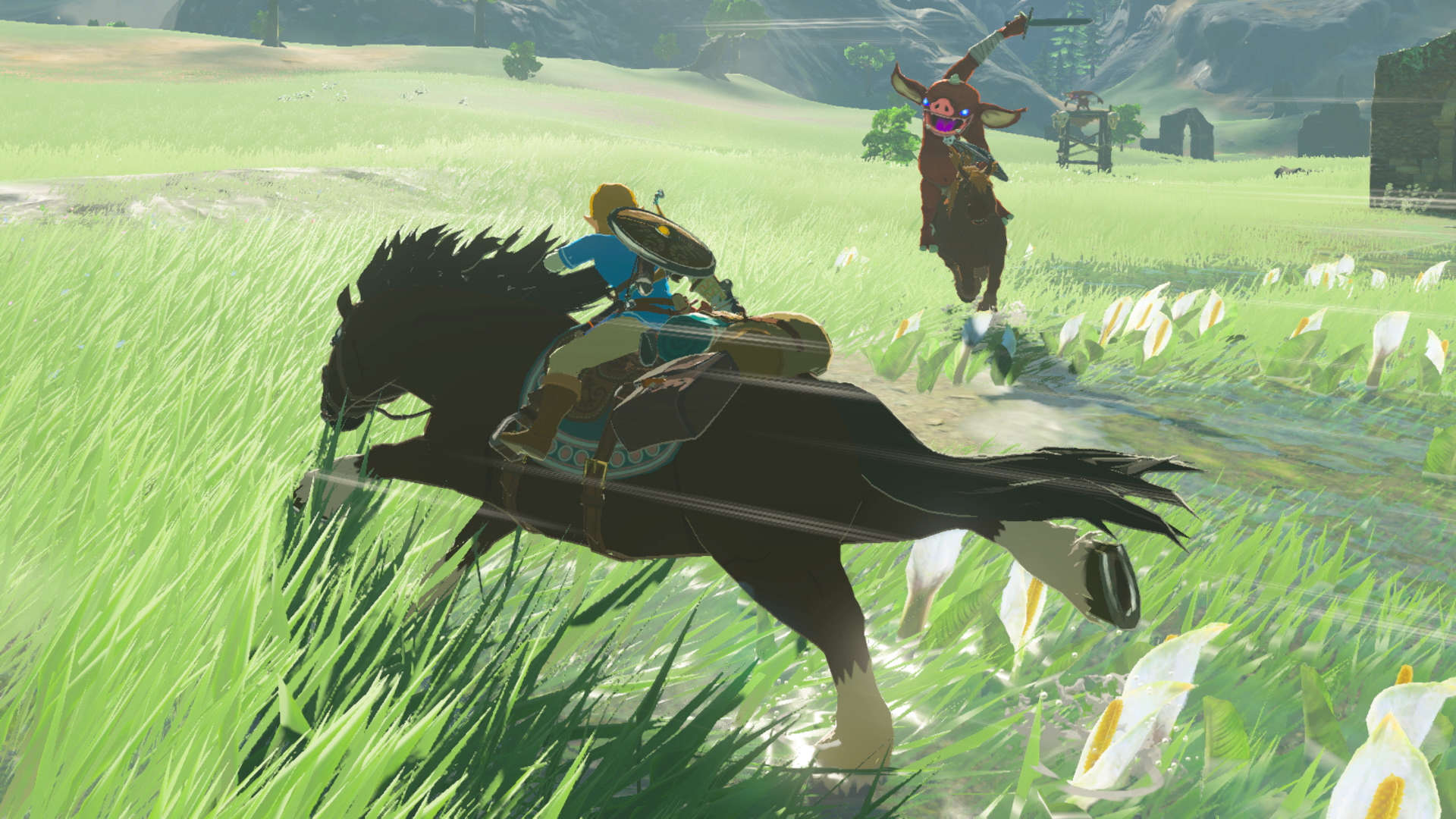 The Legend of Zelda Breath of the Wild Nintendo Switch Zelda Breath of the Wild Switch
