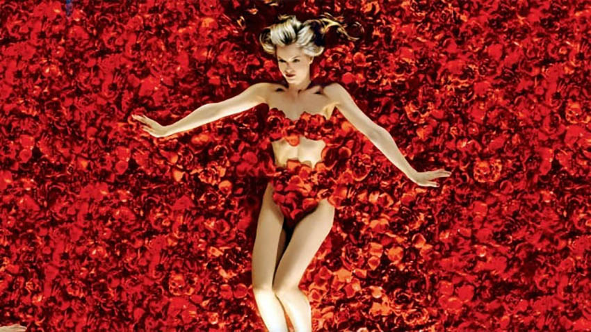 American Beauty American Beauty