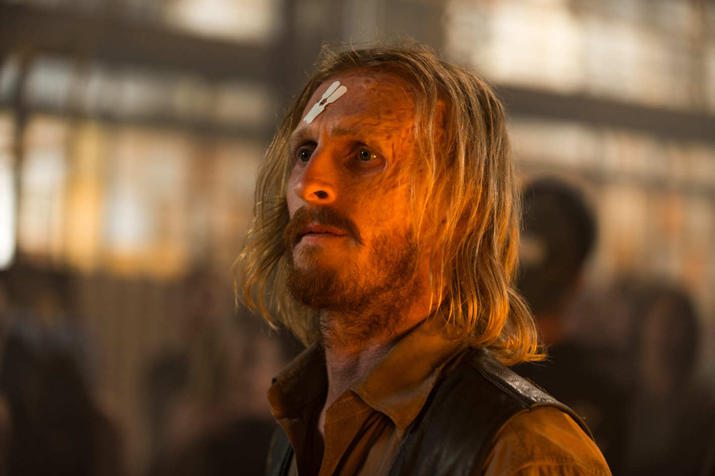 TWD 7x11 TWD 7x11