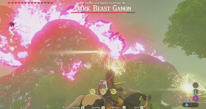 Zelda Breath of the Wild Ganon 03 Zelda Breath of the Wild Ganon 03