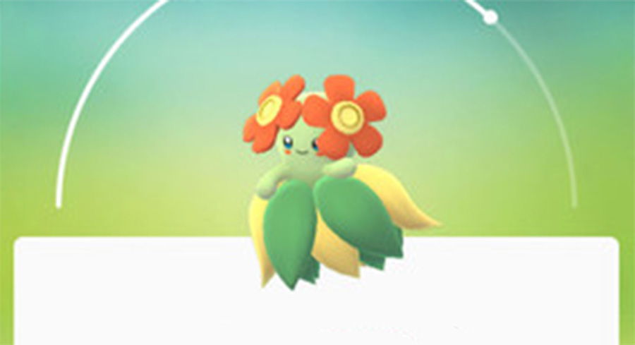 Pokémon GO Bellossom Pokémon GO Bellossom