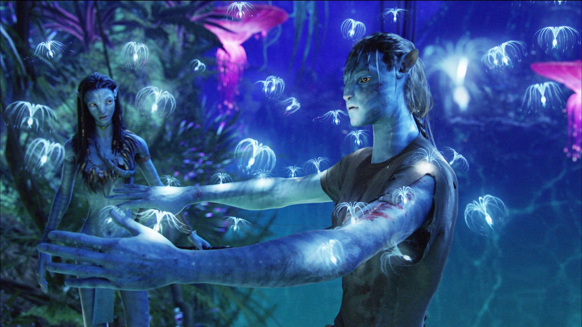 El mundo Avatar llega a DisneyWorld con la última tecnología El mundo Avatar llega a DisneyWorld con la última tecnología