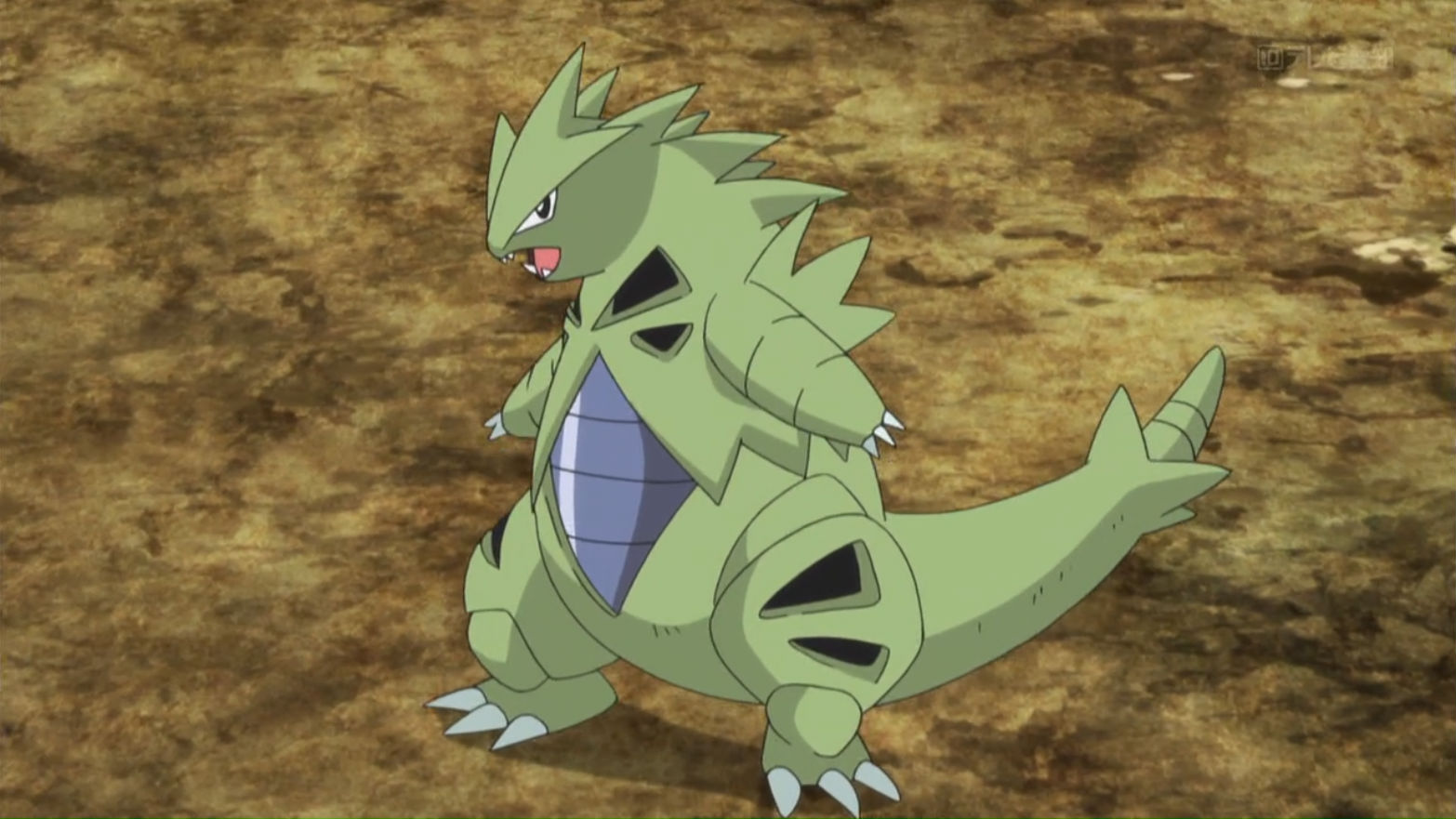 Pokémon Pokémon