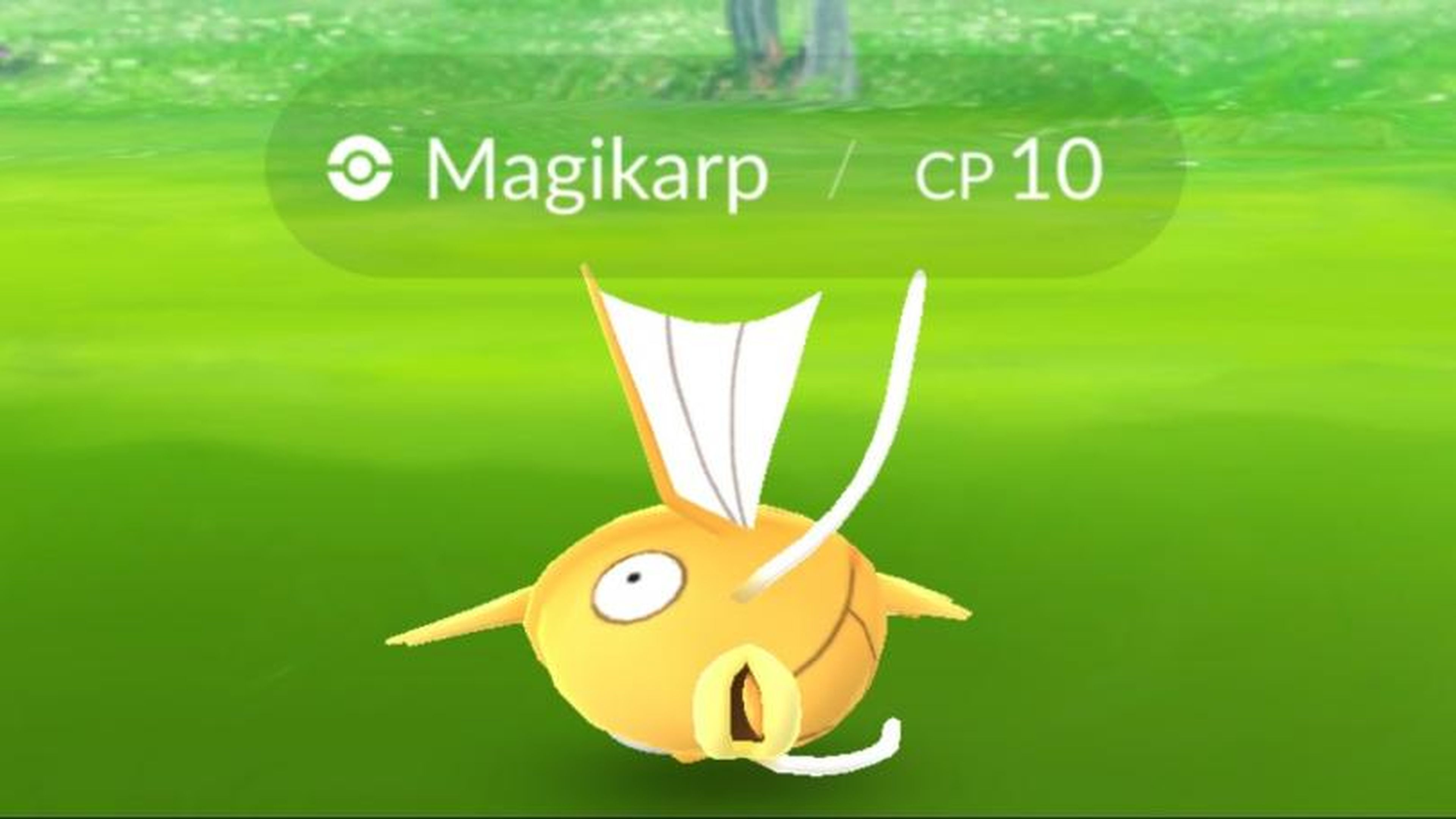 Pokémon Go Brilhantes como capturar Magikarp Brilhante, Gyarados