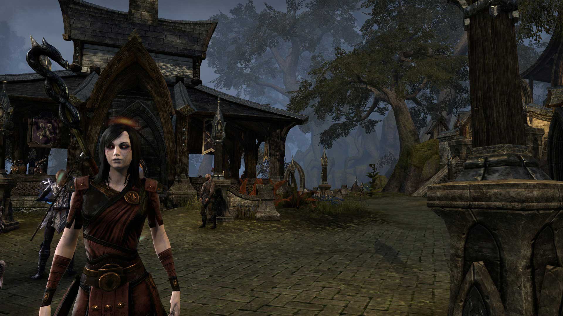 The Elder Scrolls Online The Elder Scrolls Online