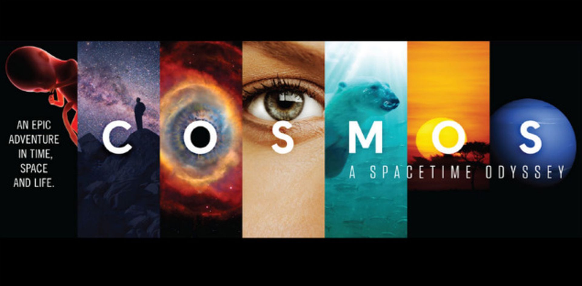 1. Cosmos (1980 / 2014)