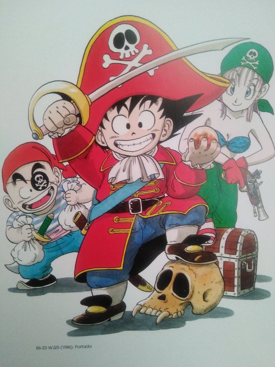 Goku pirata Goku pirata