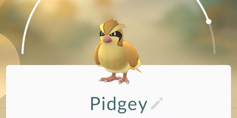Pokémon GO Pokémon GO