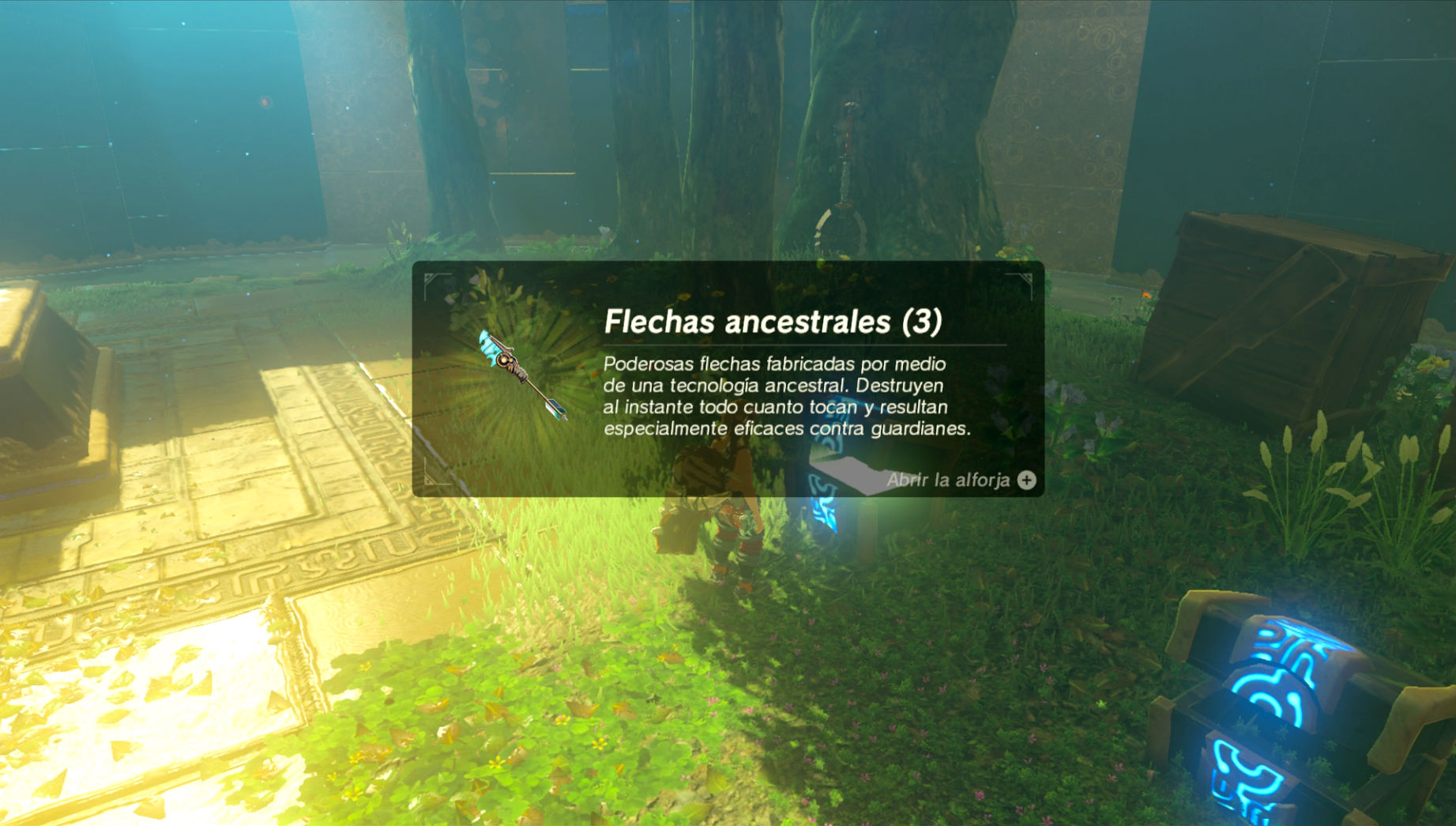 Zelda Breath of the Wild Zelda Breath of the Wild flechas