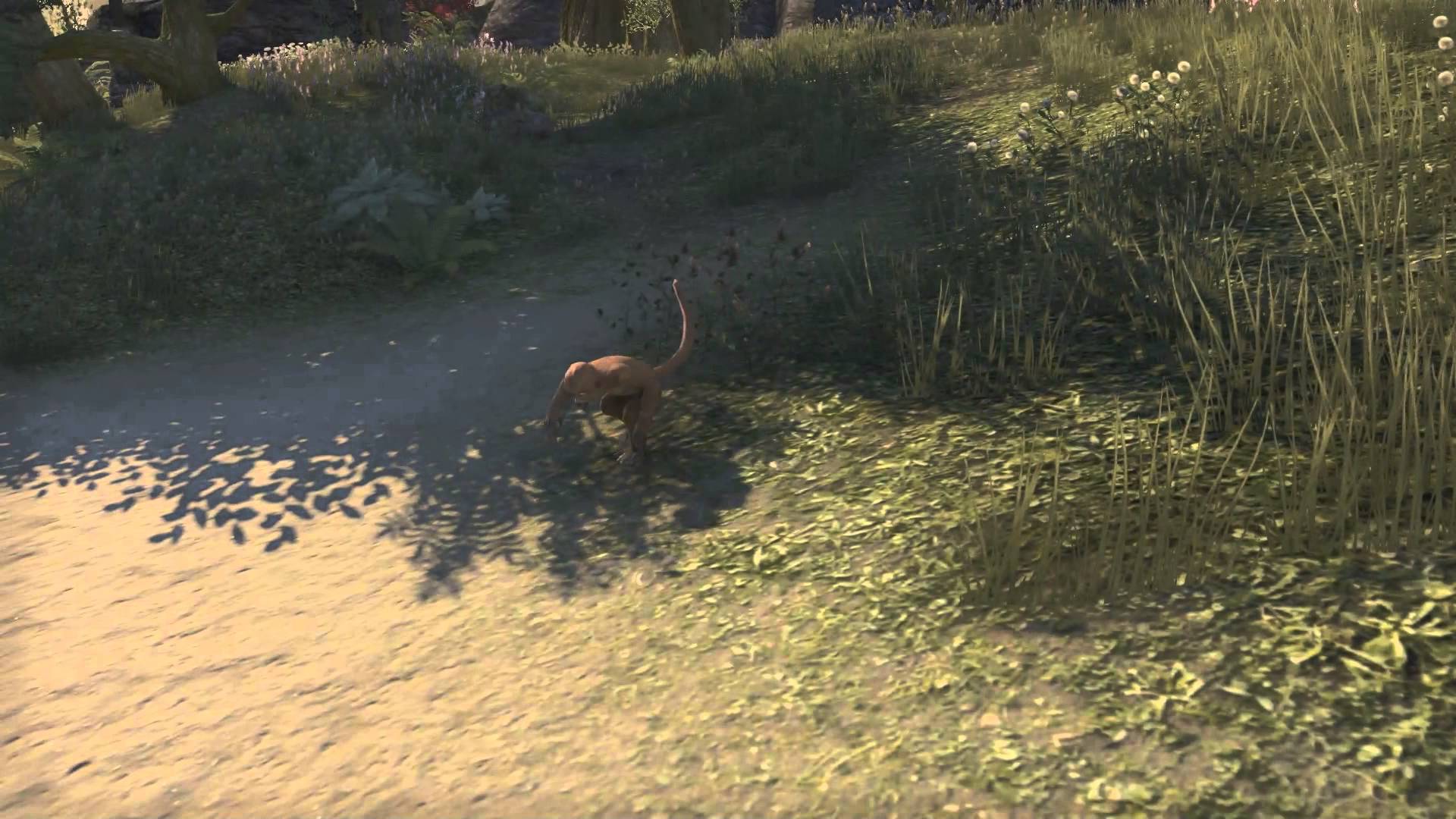 The elder scrolls online mascotas The elder scrolls online mascotas
