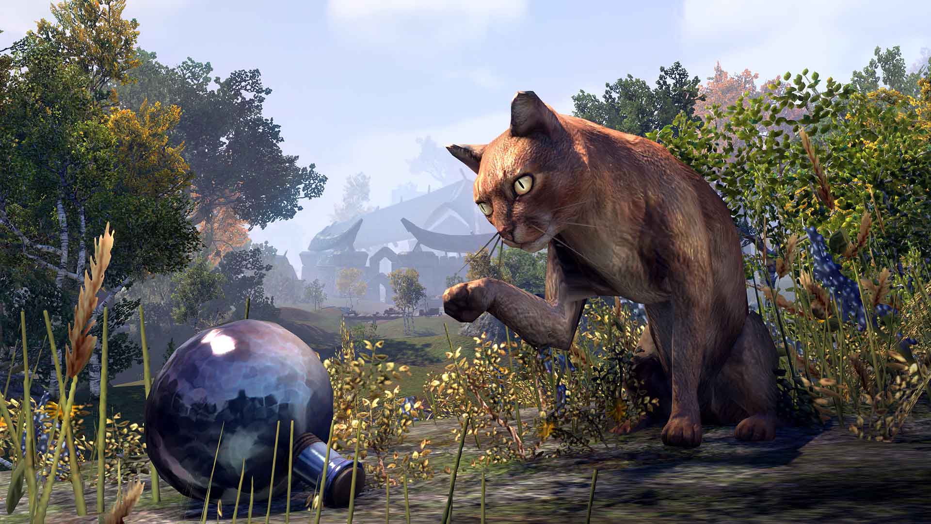 The elder scrolls online mascotas The elder scrolls online mascotas