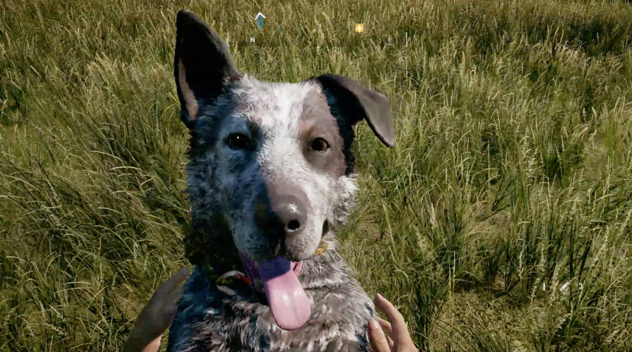 Far Cry 5 Far Cry