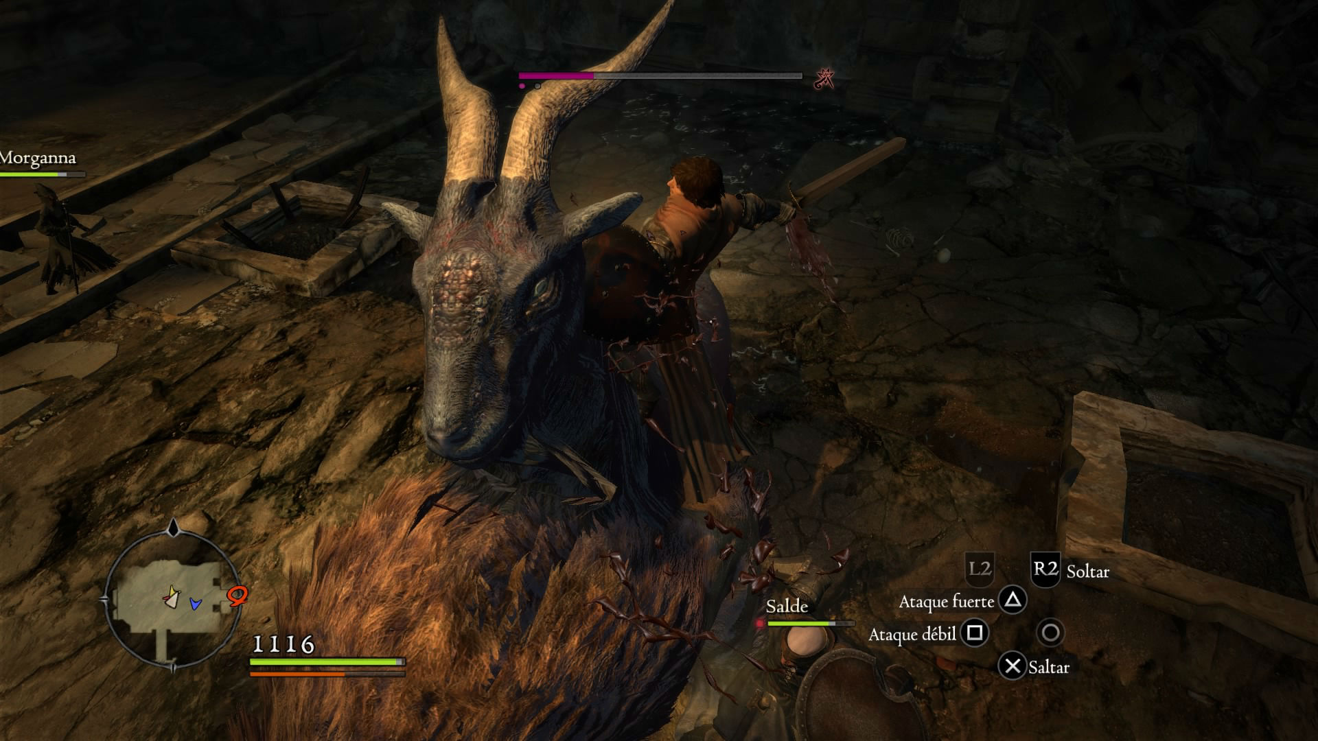 Dragon's Dogma Dark Arisen Dragons Dogma Dark Arisen PS4 Xbox One
