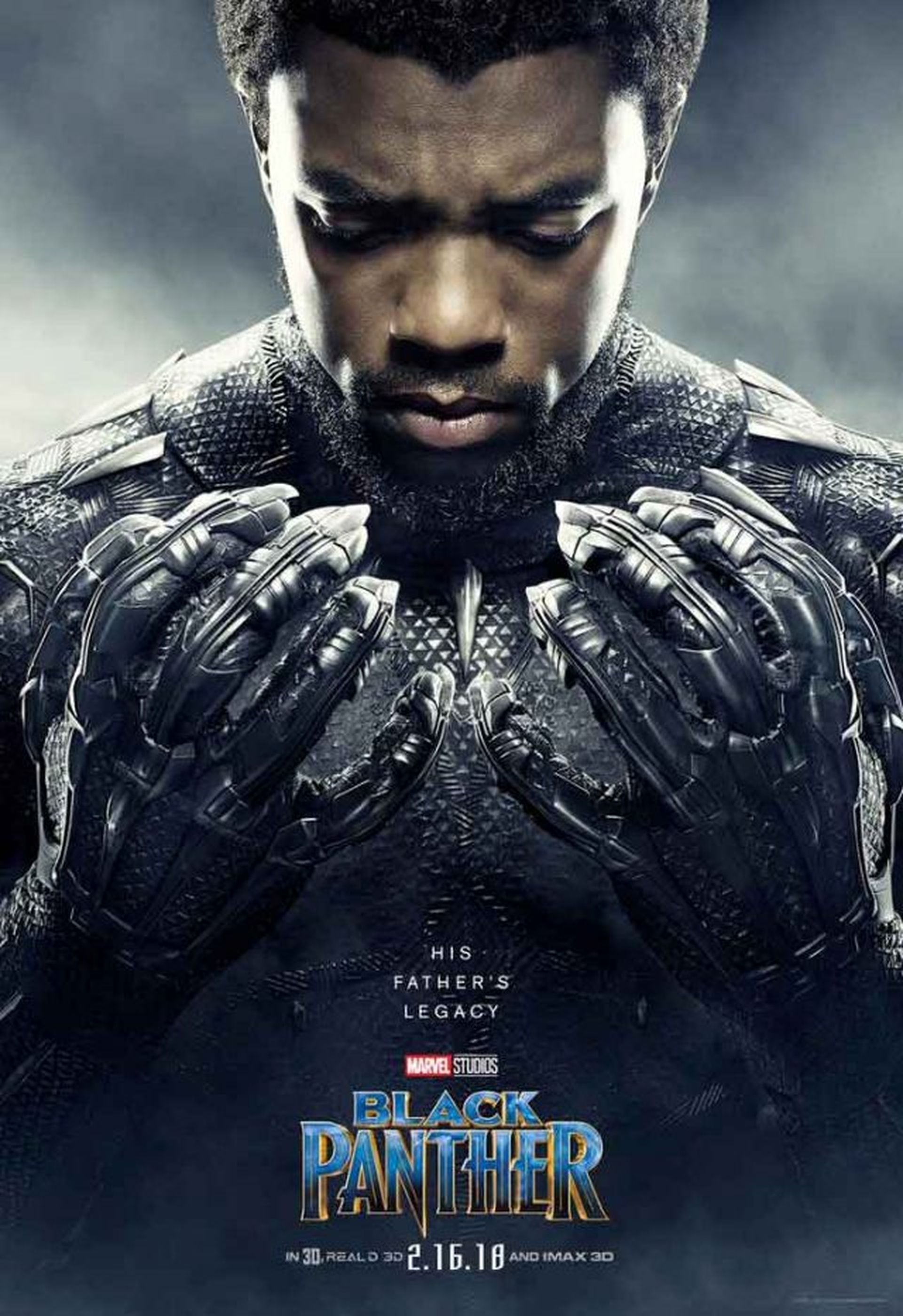 Black Panther pósters individuales